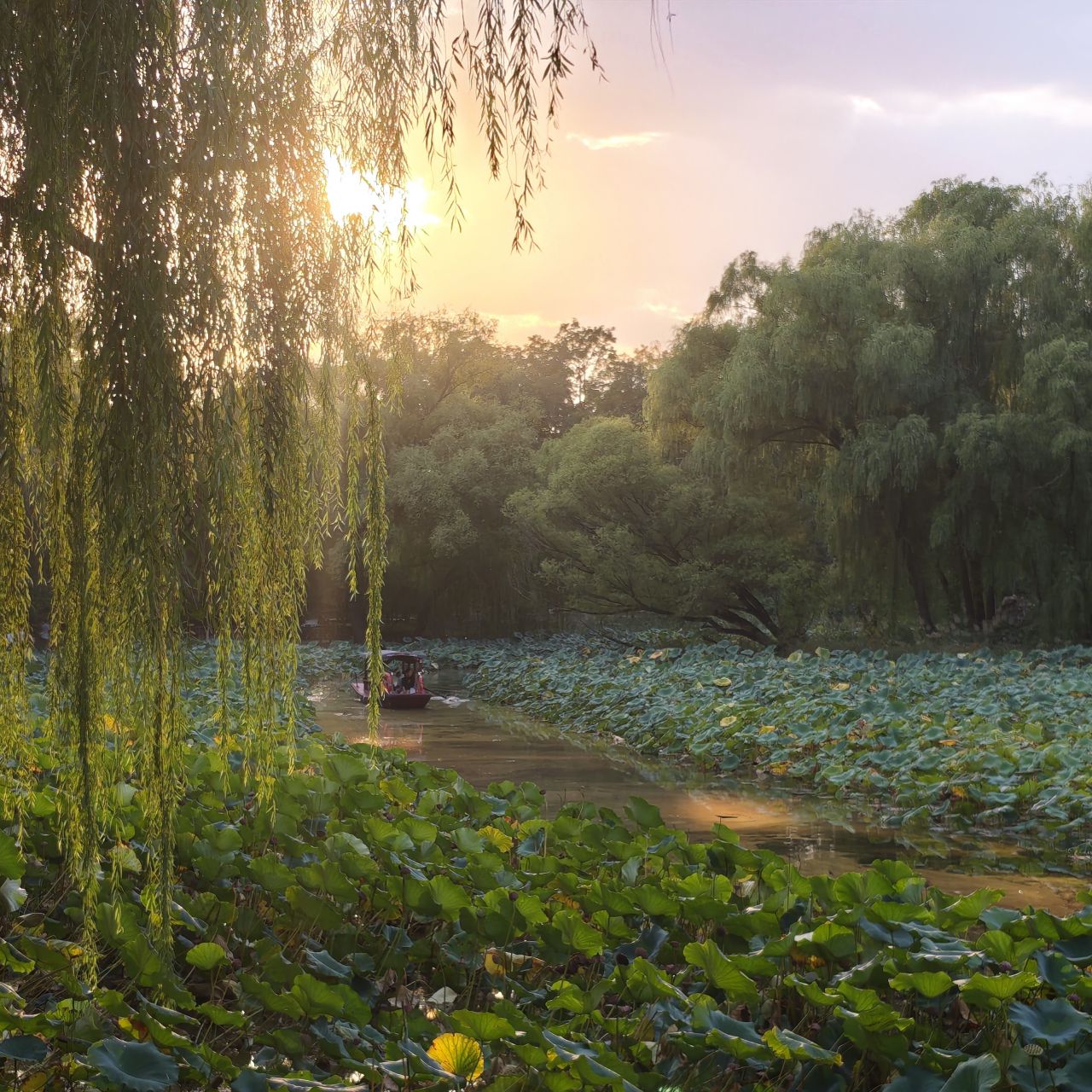 Zizhuyuan Park (紫竹院公园)