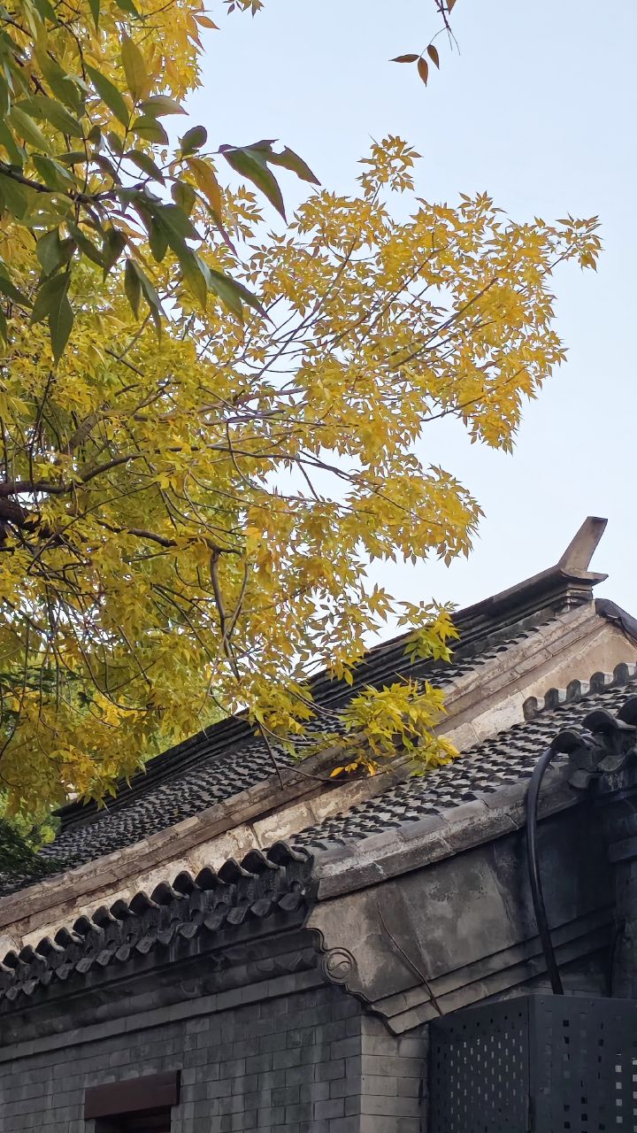 Wusi Street (五四大街)