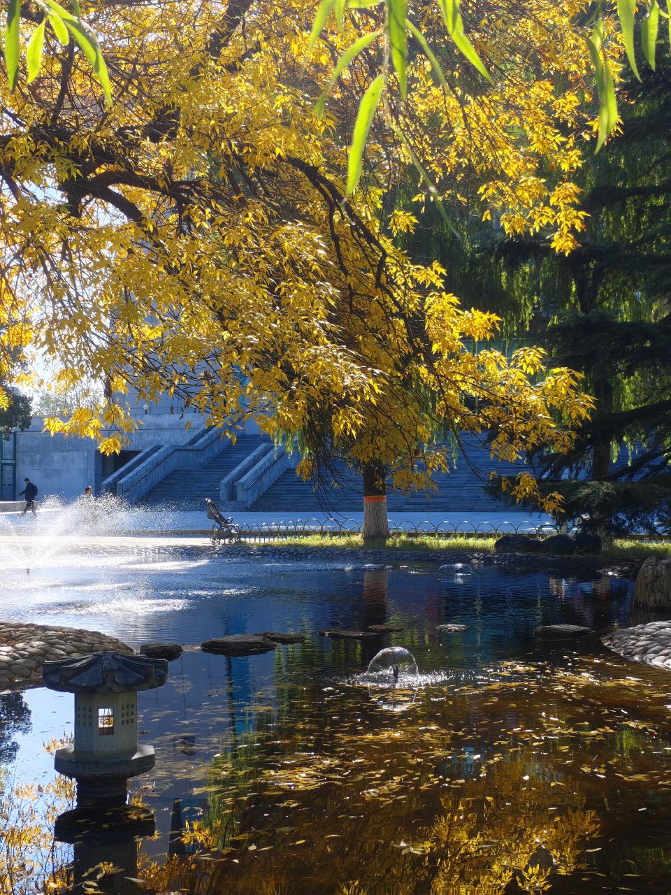 Yishao Pond at Renmin University (人民大学一勺池)
