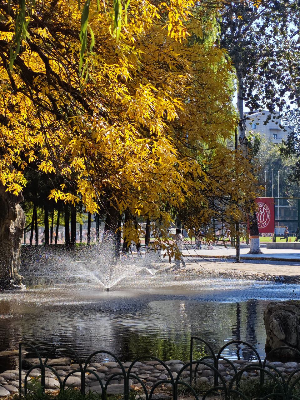Yishao Pond at Renmin University (人民大学一勺池)