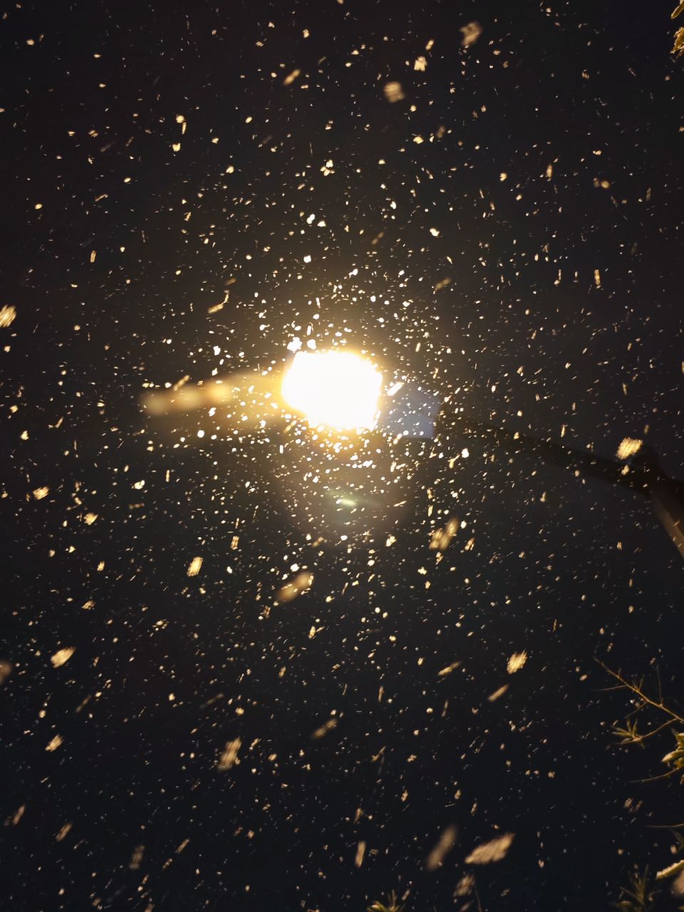 The snow in Beijing on January 17th